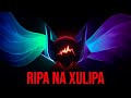 🎧 RIPA NA XULIPA / DEREK LOPEZ