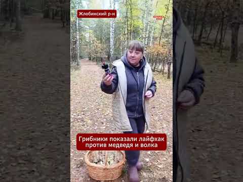 🍄🐻 «Теперь лес не страшен»: грибникам показали простой отпугиватель диких животных  #новости #жлобин