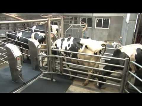 GEA Farm Technologies - AutoRotor PerFormer