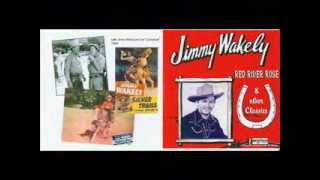 1133 Jimmy Wakely - There's A Blue Star Shining Bright