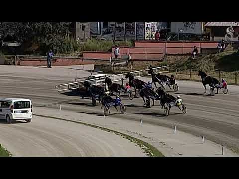 Aversa trotto 21 Maggio 2022 - 4° Corsa