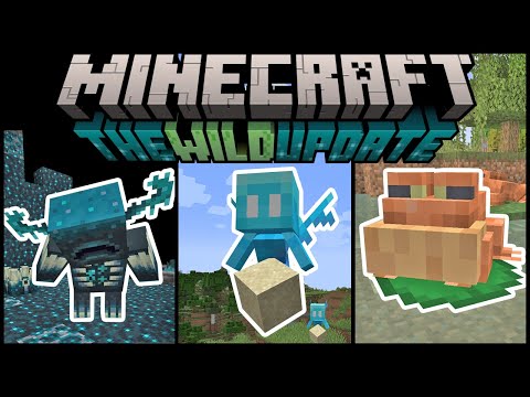 GUIDE To MINECRAFT 1.19 WILD UPDATE