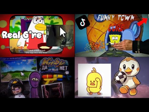 Gore Videos