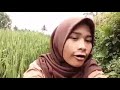 Vidio Lucu Orang Berak Sambil Nyanyi