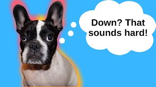 Easy Step-By-Step Guide to Teaching Down