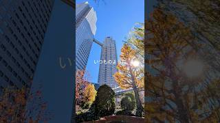 【TOKYO】気分転換✨️リラックスに繋がるメッセージ🌿#beautiful #shorts#relaxing #vlog#shortvideo #tokyo #trip #japan #travel