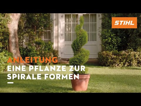 Anleitung: Eine Pflanze zur Spirale formen