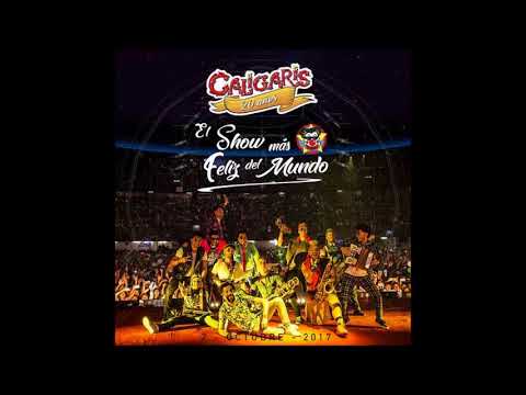 Los Caligaris - El amor nunca pasa de moda (AUDIO)