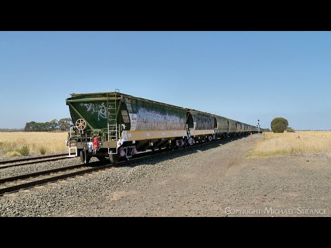 7736V Pacific National Grain Train With BL31 & 8136 (17/1/2025) - PoathTV Australian Railways