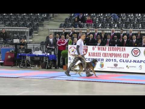 Ciprian Cordos , dresaj la Polivalenta Cluj, Decembrie 2015