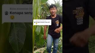 Download lagu SALAM DARI BINJAI !! PARIS PERNANDES mp3