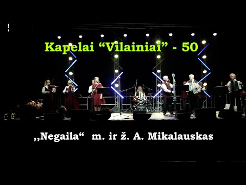 Kapelai "Vilainiai" - 50 "Negaila", m. ir ž. A. Mikalausko 2024 04 07