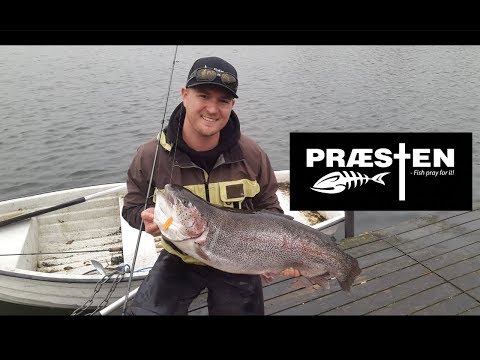 Ny pr 11,88 kg!!! KÆMPE REGNBUEØRRED