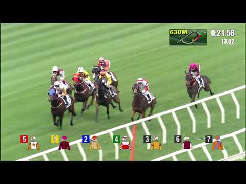 27/3/2022 (529) Flying Season - Jerry Chau