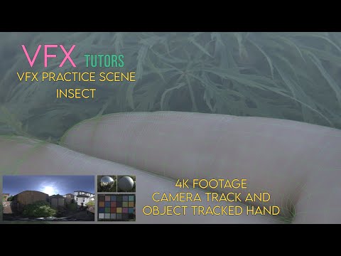 VFX Creature Animation - Insect