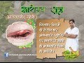 अंजनहारी(गुहेरी) के घरेलु उपचार | आचार्य बालकृष्ण