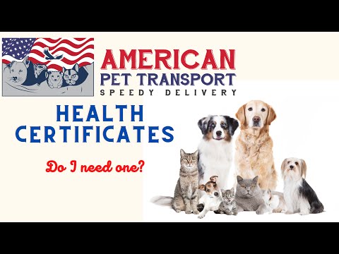 Do I Need A Health Certificate For My Pet To Travel?