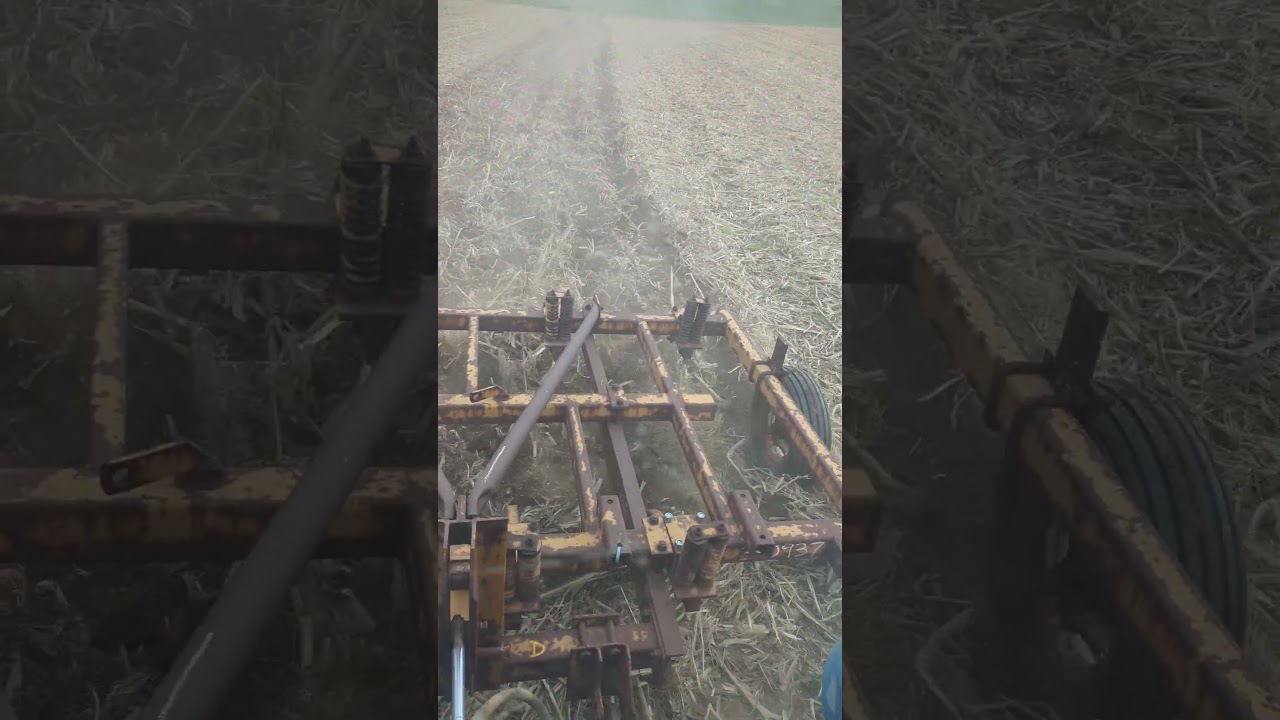 Taylor Way 9 Shank Chisel Plow