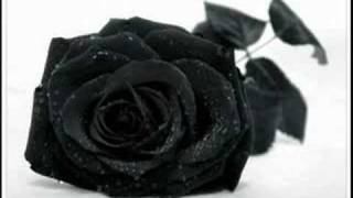 evanescence my immortal