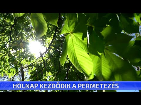 CTV híradó - Rövid híreink - 2023. május 12. péntek