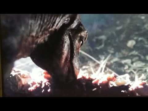 the Lost World Jurassic Park 1997| baby T-Rex eating corpse