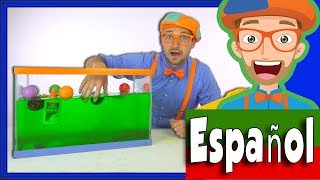 Blippi Español Hundír o Flotar | Experimentos Científicos Divertidos para Niños