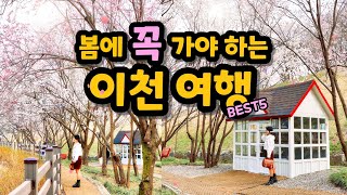 [이천크리에이터] 이천 나들이 코스❤️ / 벚꽃 명소 설봉공원, 티하우스 에덴 등 (¬‿¬)