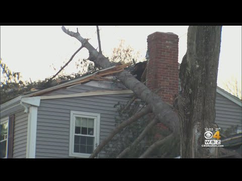 Westboro Homeowner Relieved No One Was Hurt After Tree Falls On House