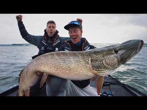 EU PIKE RECORD 16 kg
