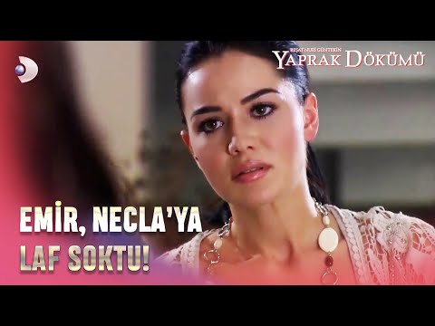 Emir, Necla'ya Laf Soktu! - Yaprak Dökümü 164. Bölüm