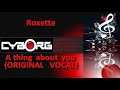 Roxette A Thing About You ORIGINAL VOCAL Lyric sync
