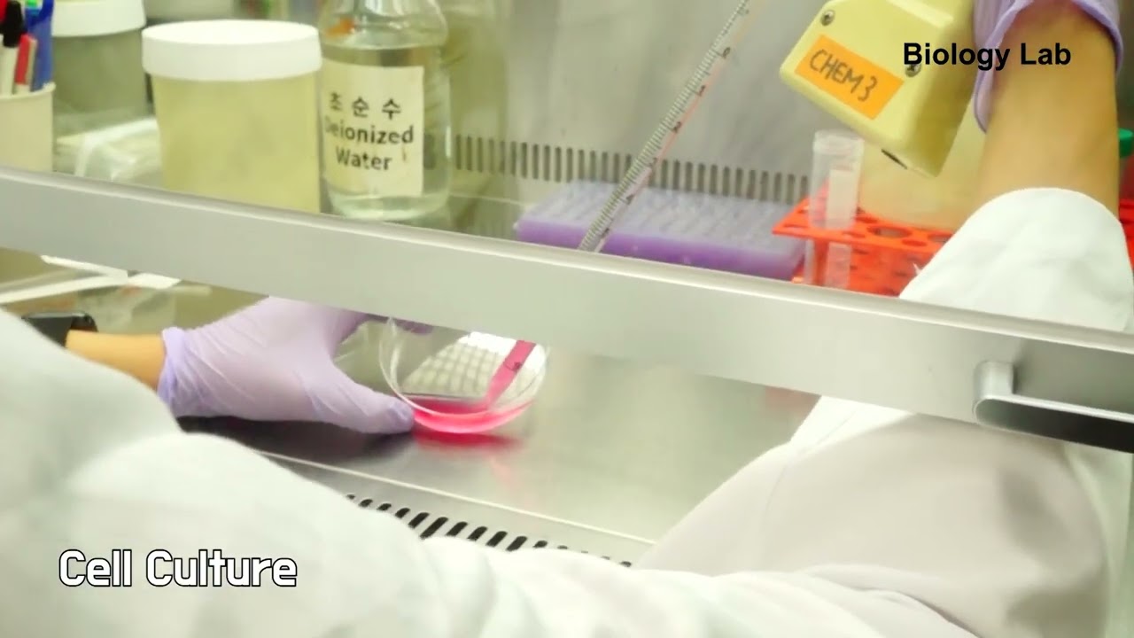 [SKKU] Lab for immune modulation