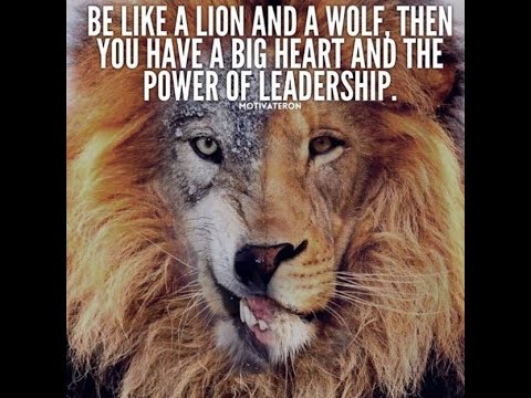 The Wolf Attitude (HEART OF A WOLF) Motivational video