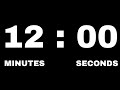 12 Minutes Countdown Timer TIMER FOR SUCCESS ExactTimer