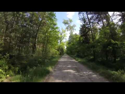 Wandzin na Kwiatkowice Las