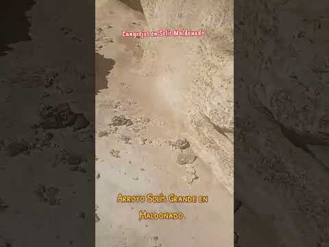 Solís en Maldonado Uruguay