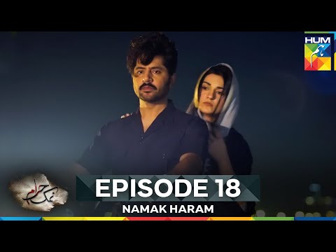 Namak Haram Episode 18