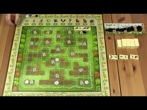 JÁTÉKSZABÁLY: RENATURE - d3meeples