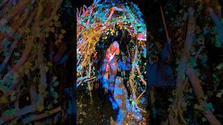 Happy Halloween from the Wizarding world of Harry Potter! #harrypotter #halloween #travelvlog #dmv