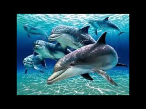 Barnmeditation in i fantasins värld