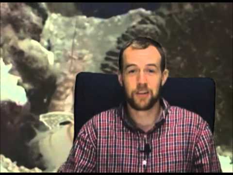 Bible Answers (5.2.14) - 
