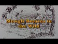The Jungle Book Mowgli S Return To The Wild
