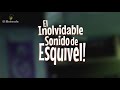 Esquivel  en vivo, Night and Day.