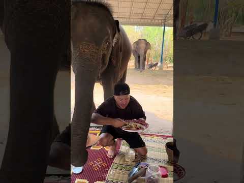 กินนำแหน่😆 #นายทนาคาน