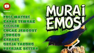 Download lagu MASTER MURAI BATU FULL ISIAN PANCING EMOSI DAN BIRAHI mp3 Download lagu MASTER MURAI BATU FULL ISIAN PANCING EMOSI DAN BIRAHI mp3