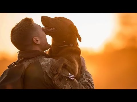 Military Motivation | Workout Motivation | Hero