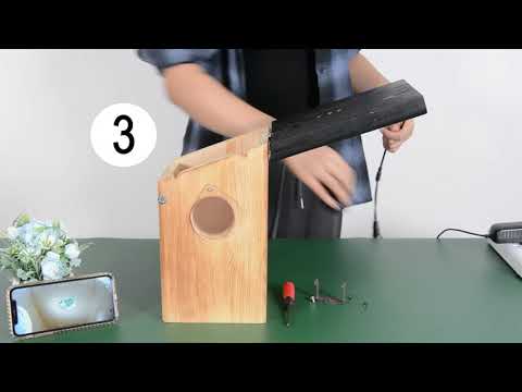 Hur placerar jag en Nest Box -kamera i Birdhouse på rätt sätt?