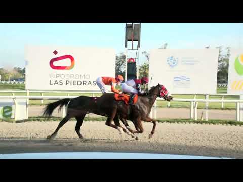 230602 C 09 - PALAVRA AMIGA (BRZ) - HIPODROMO LAS PIEDRAS