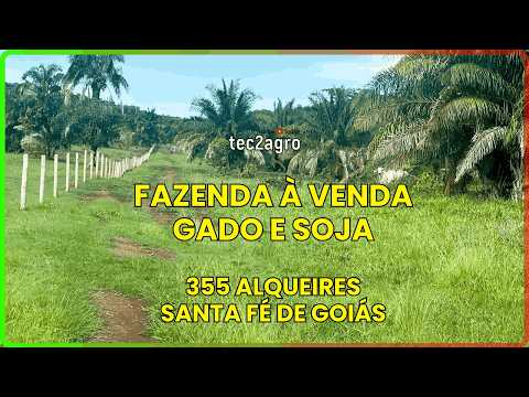 🌱 355 ALQ EM SANTA FÉ DE GOIÁS - FAZENDA À VENDA EM GOIÁS [DUPLA APTIDÃO] #fazenda #tec2agro #agro