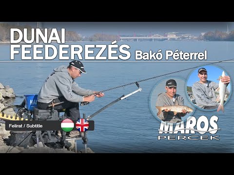 Maros Percek - Dunai feederezés Bakó Péterrel